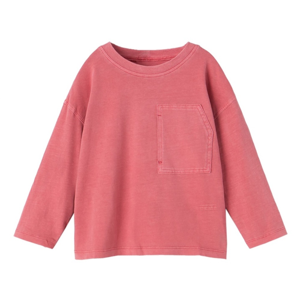 Zara Long Sleeve (12-18m)